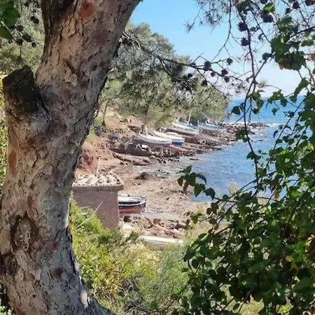 One-bedroom Apartment, In Fabregas, Beachfront